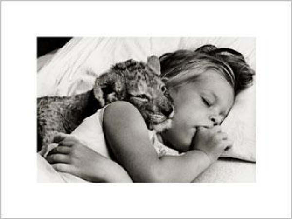 La petite fille et le felin.-humourenvrac